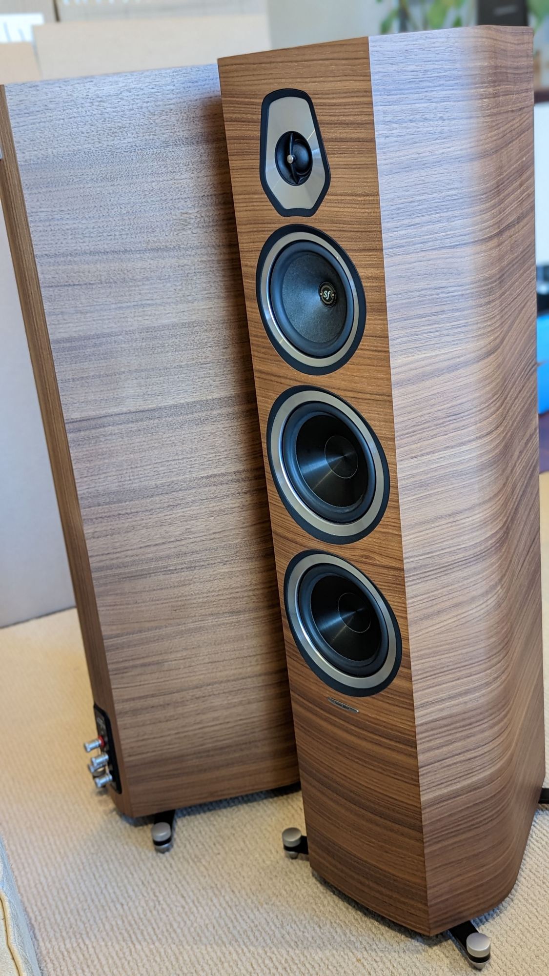 Sonus Faber Sonetto V Photos for sale 2023-04-25 039.jpg