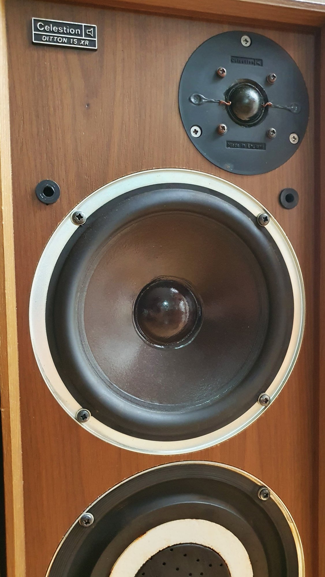 WhatsApp Image 2024-02-20 at 16.02.19_6a27d2c2.jpg