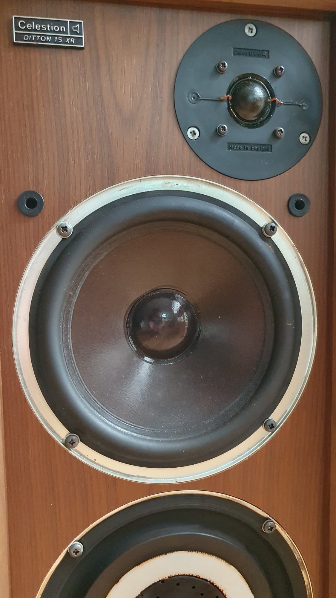 WhatsApp Image 2024-02-20 at 16.02.19_6b769b0e.jpg