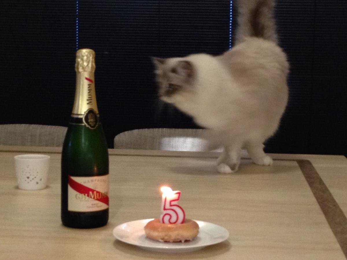 post-146680-0-27729200-1425475527_thumb.