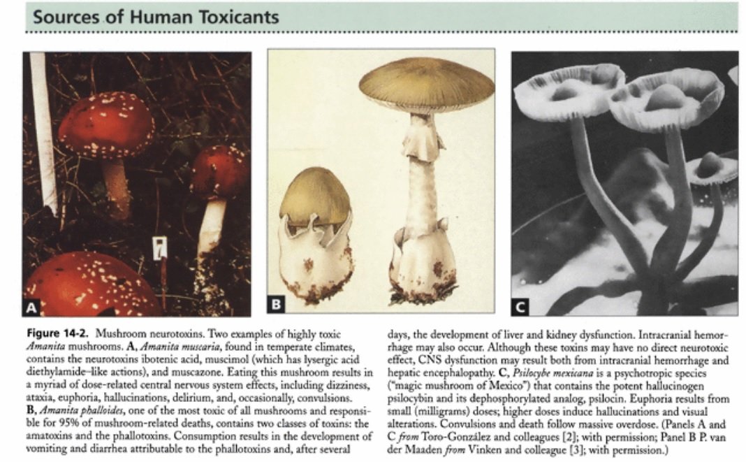 post-106543-0-03531300-1398804449_thumb.