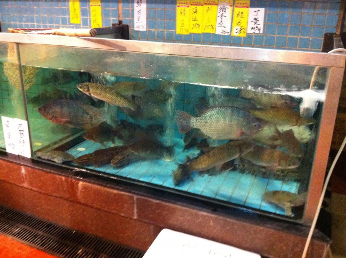 post-118179-0-53521100-1431611627_thumb.