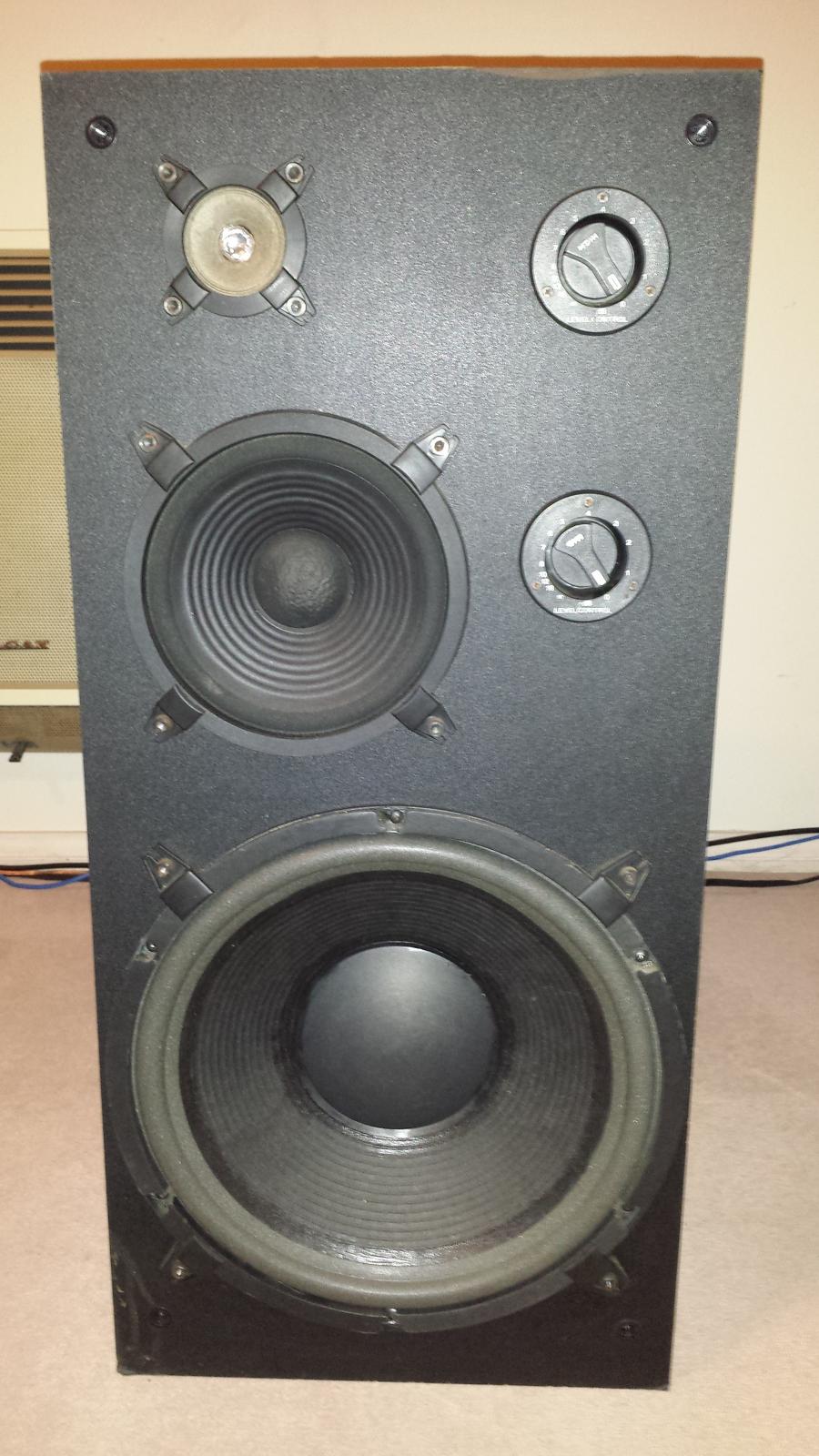 What speakers are these and are they worth repairing? ??? Speakers
