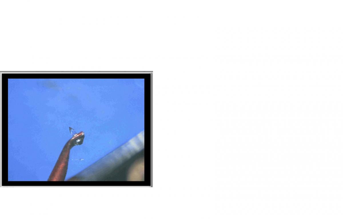 Microscope for styli inspection...... ﻿ Turntables, Record