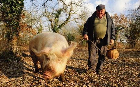 post-105164-0-44532600-1468025310_thumb.