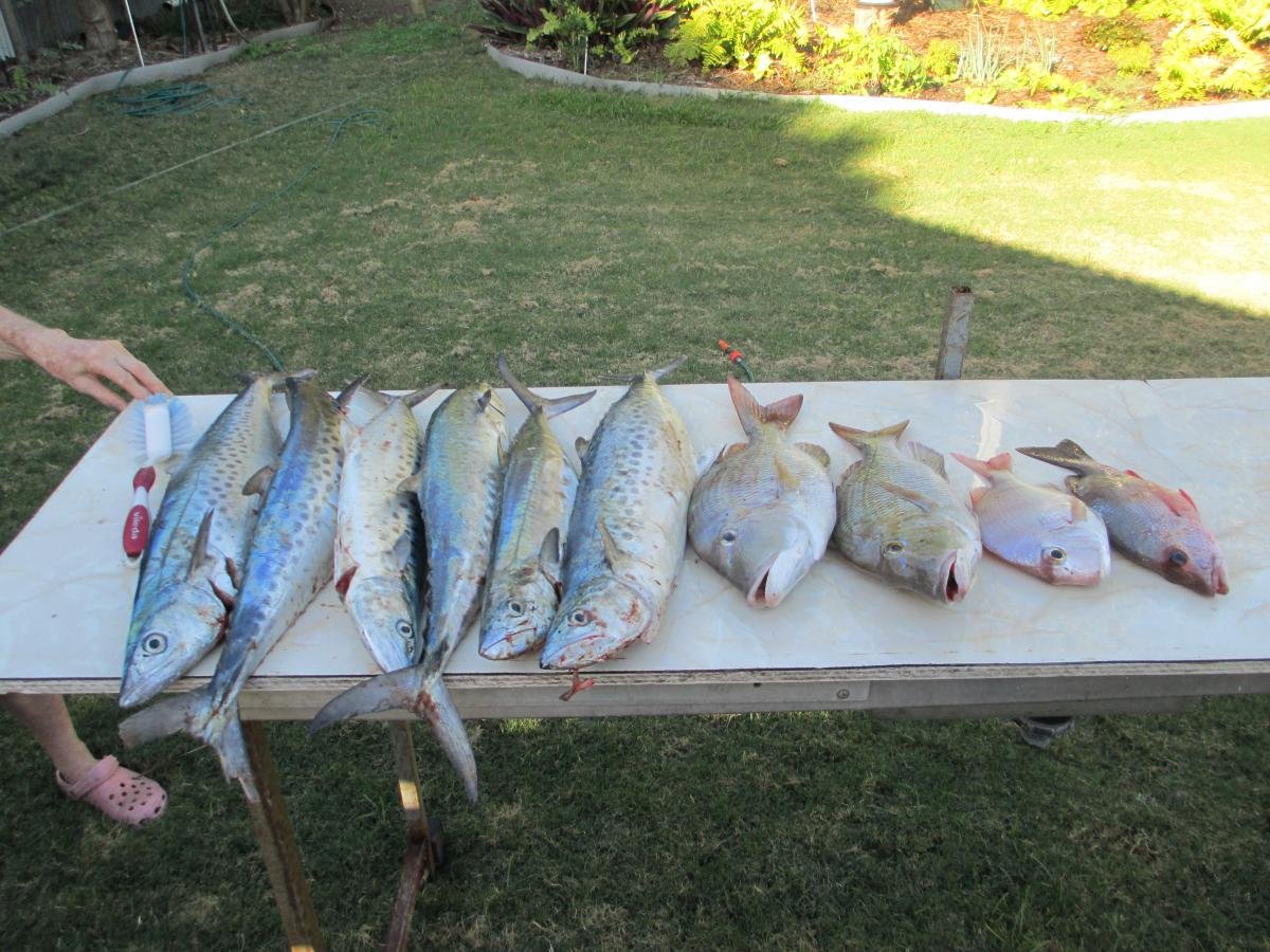 post-130663-0-89269500-1376662209_thumb.