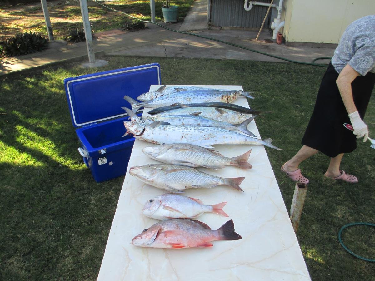 post-130663-0-91372000-1376662319_thumb.