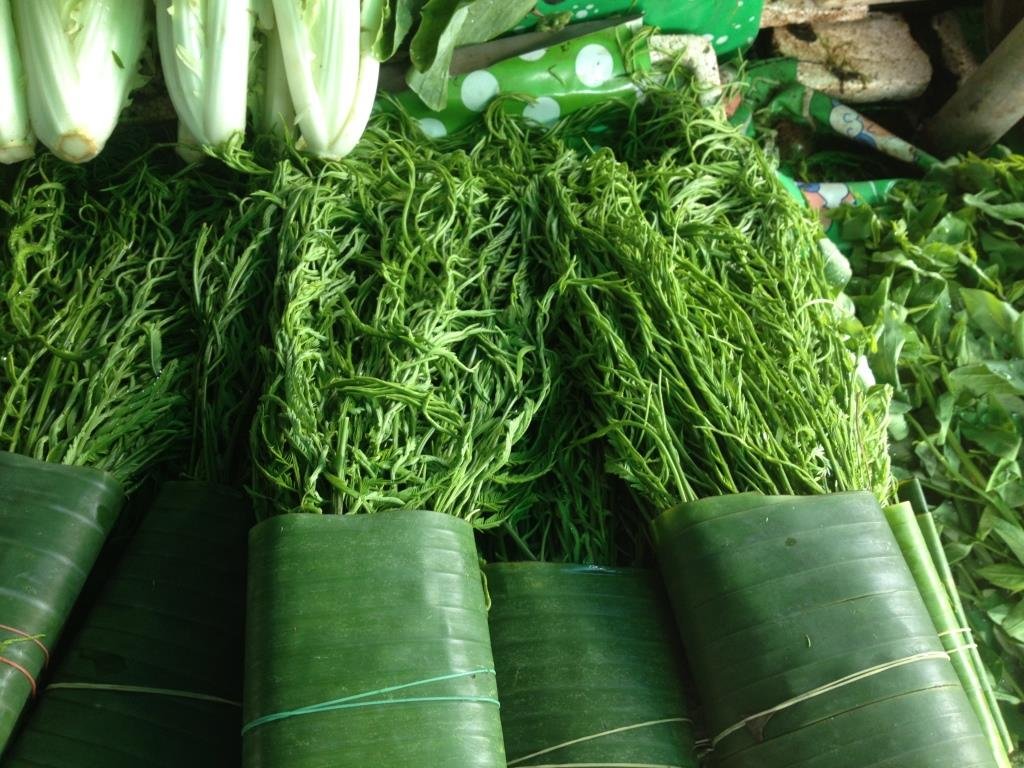 post-140008-0-40649300-1470013887_thumb.