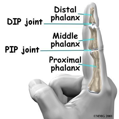 post-113548-0-44392700-1381057629_thumb.