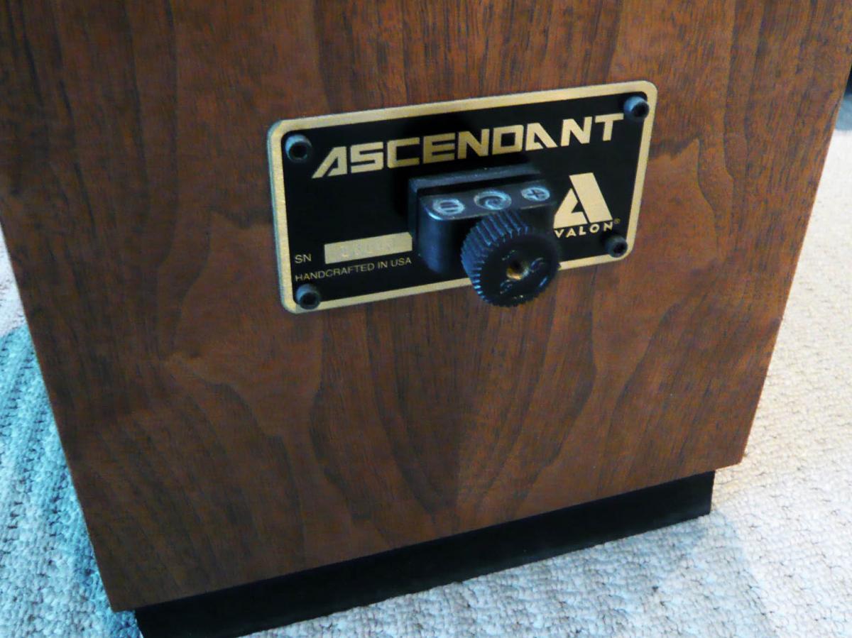 SOLD: FS: Avalon Ascendant Speakers - RARE Full Range