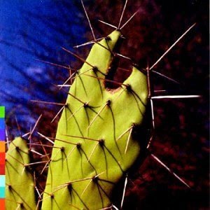 post-132814-0-24577100-1448511272_thumb.