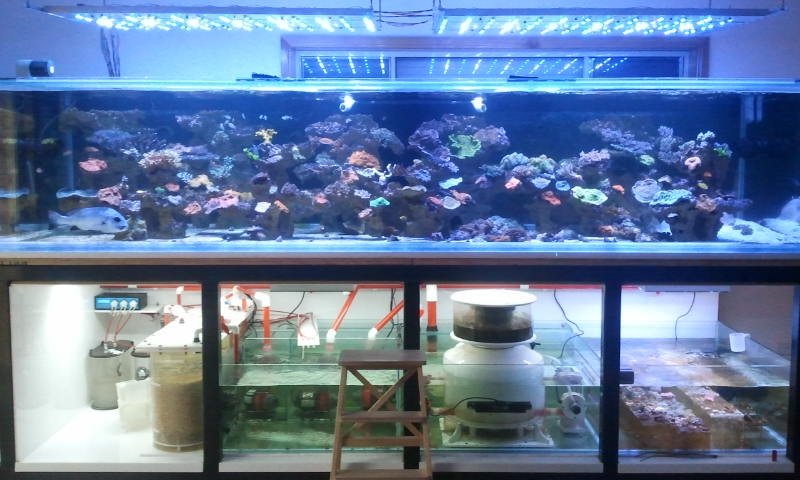 2016-01-03 17.57.30.jpg