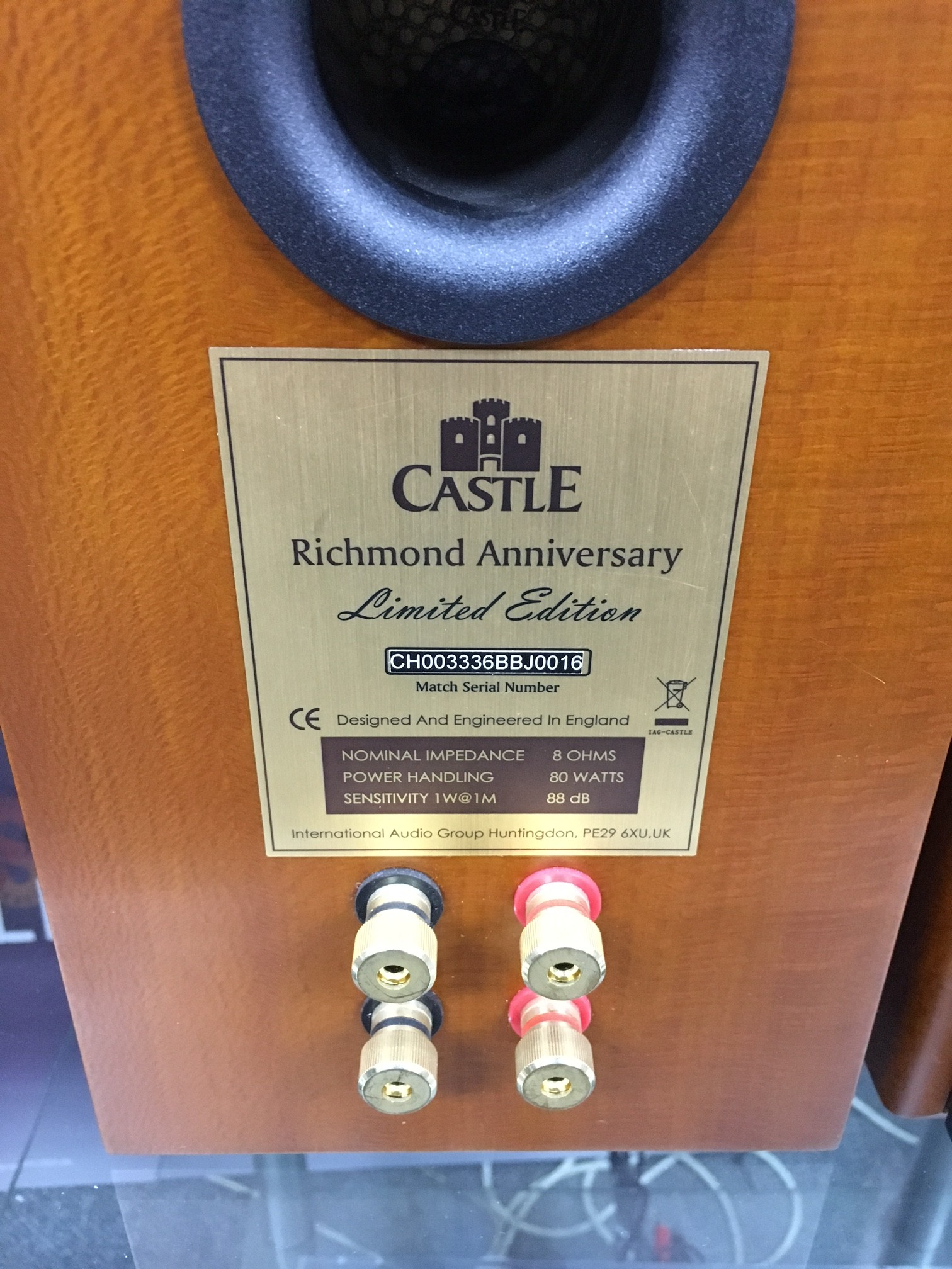 FS: CASTLE RICHMOND ANNIVERSARY LIMITED EDITION BOOKSHELF SPEAKER