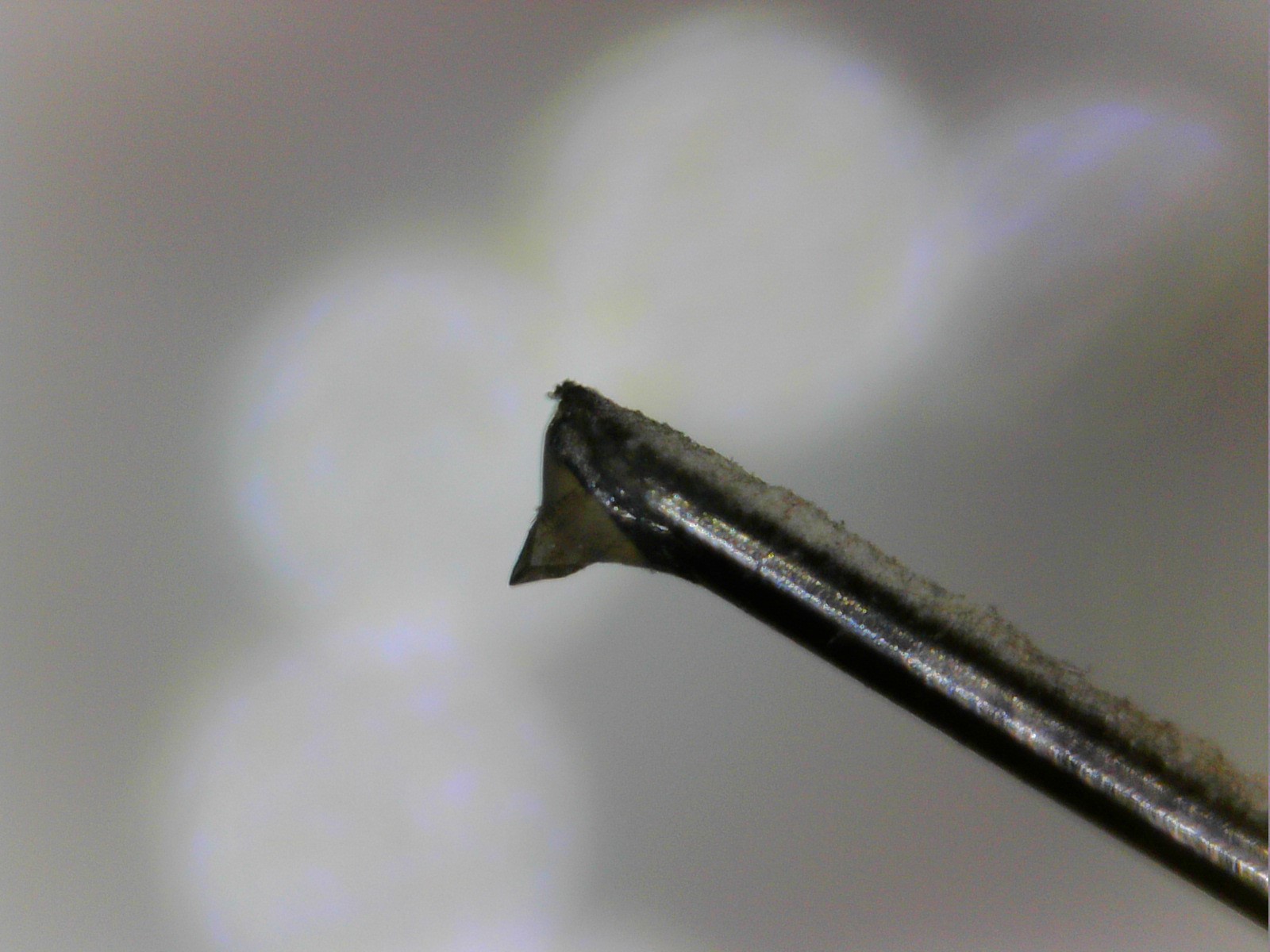 Stylus pic (USB Microscope) ﻿ Vinyl and Turntables