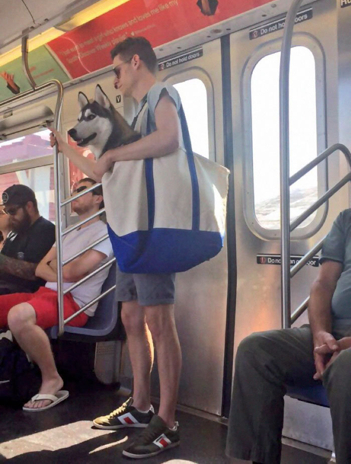 man-with-giant-dog-tote-bag-new-york-subway-1a.jpg.20b4198f6ecb1334db06b1b19c46d1a8.jpg