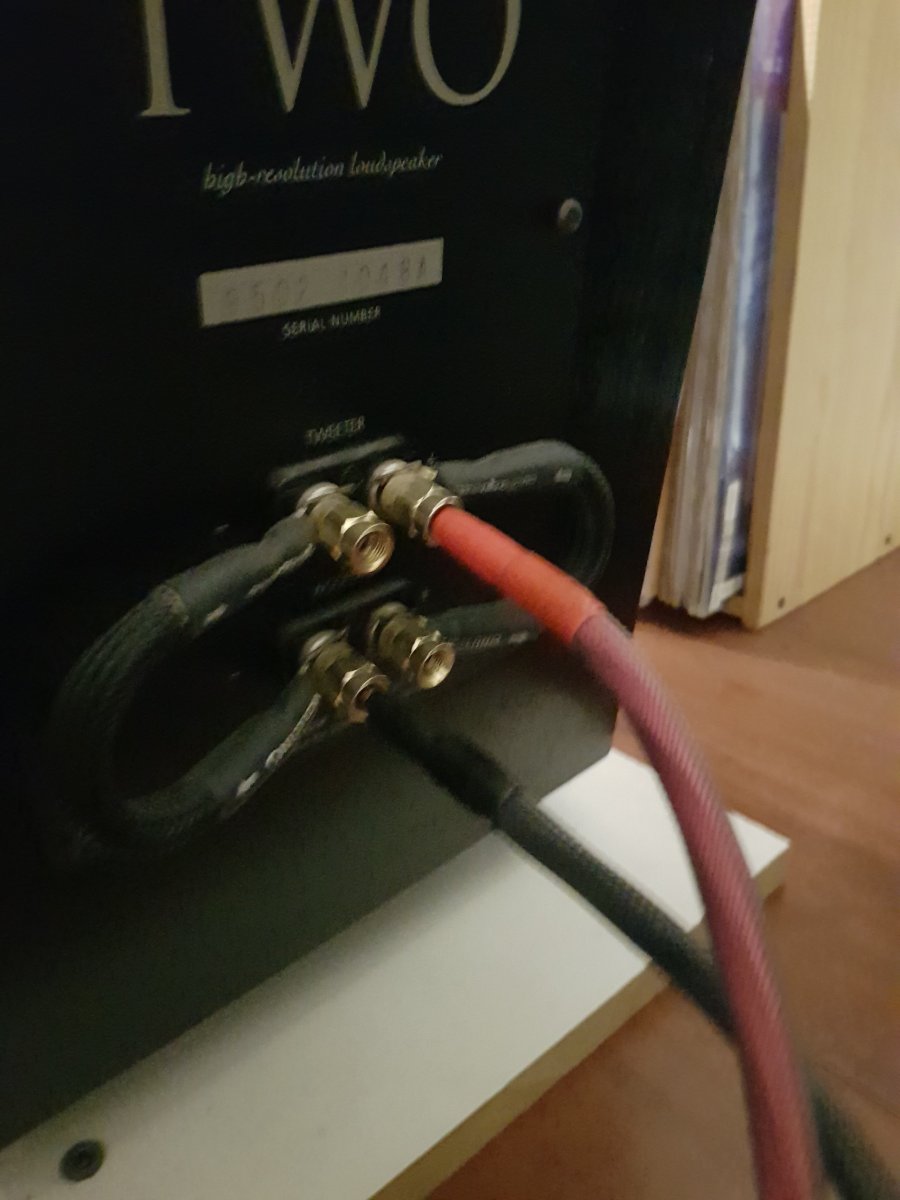 Connecting speaker when you don't want biwiring ﻿ Speakers, Soundbars