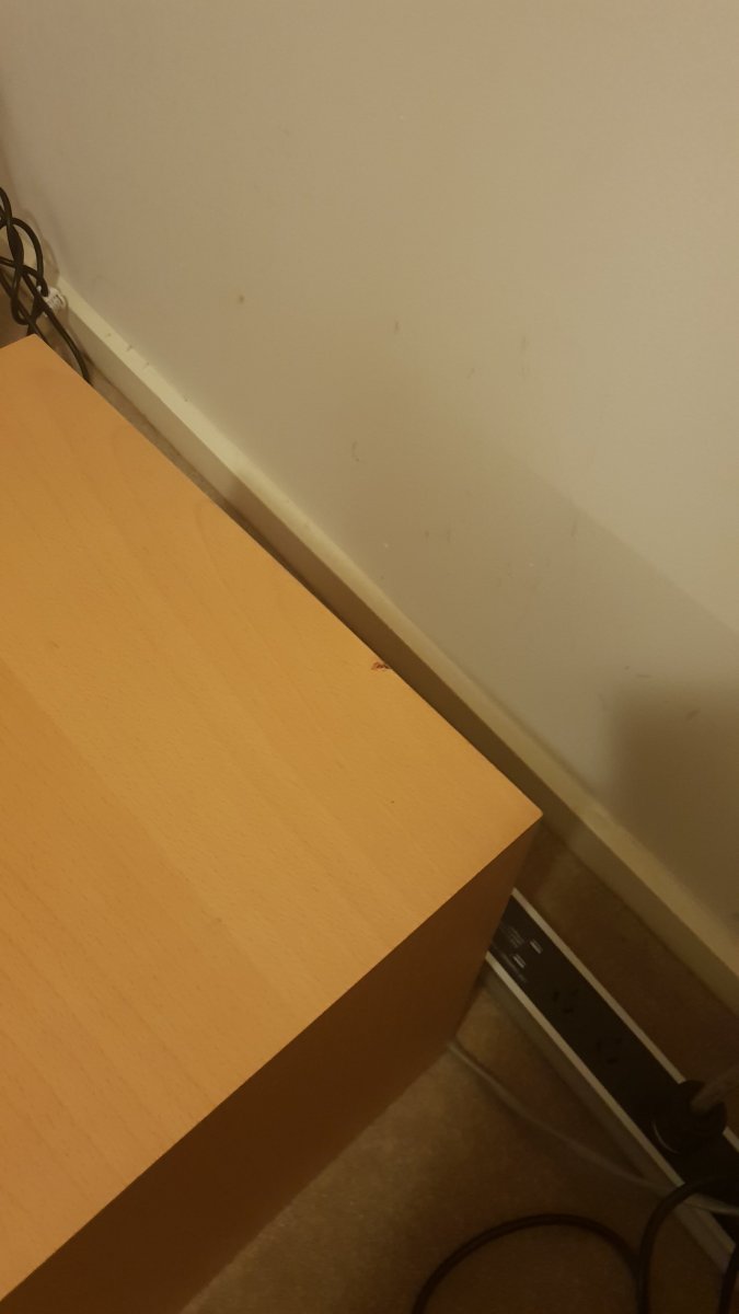 20190116_185717.thumb.jpg.e6de8599a4b449a50dacb15f8a6bdedd.jpg