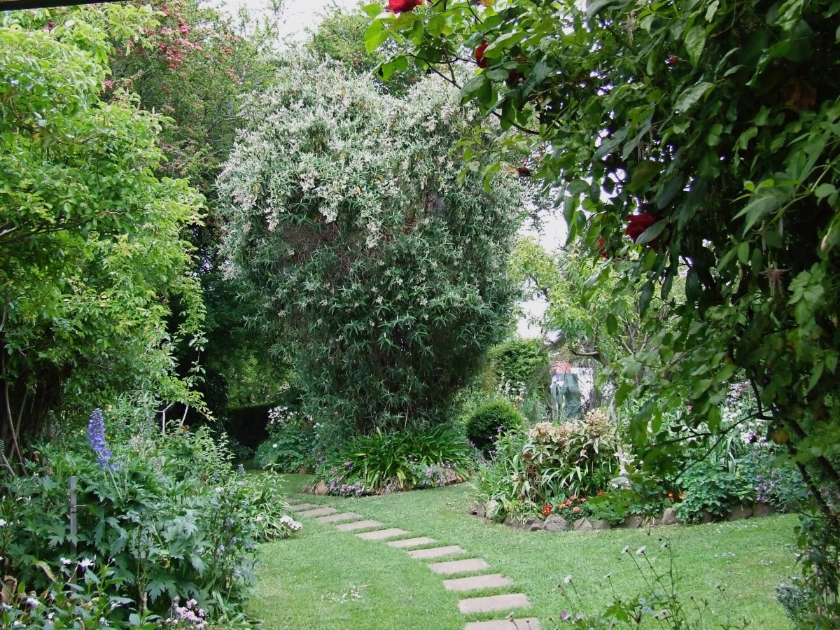 DSCF3418.jpg