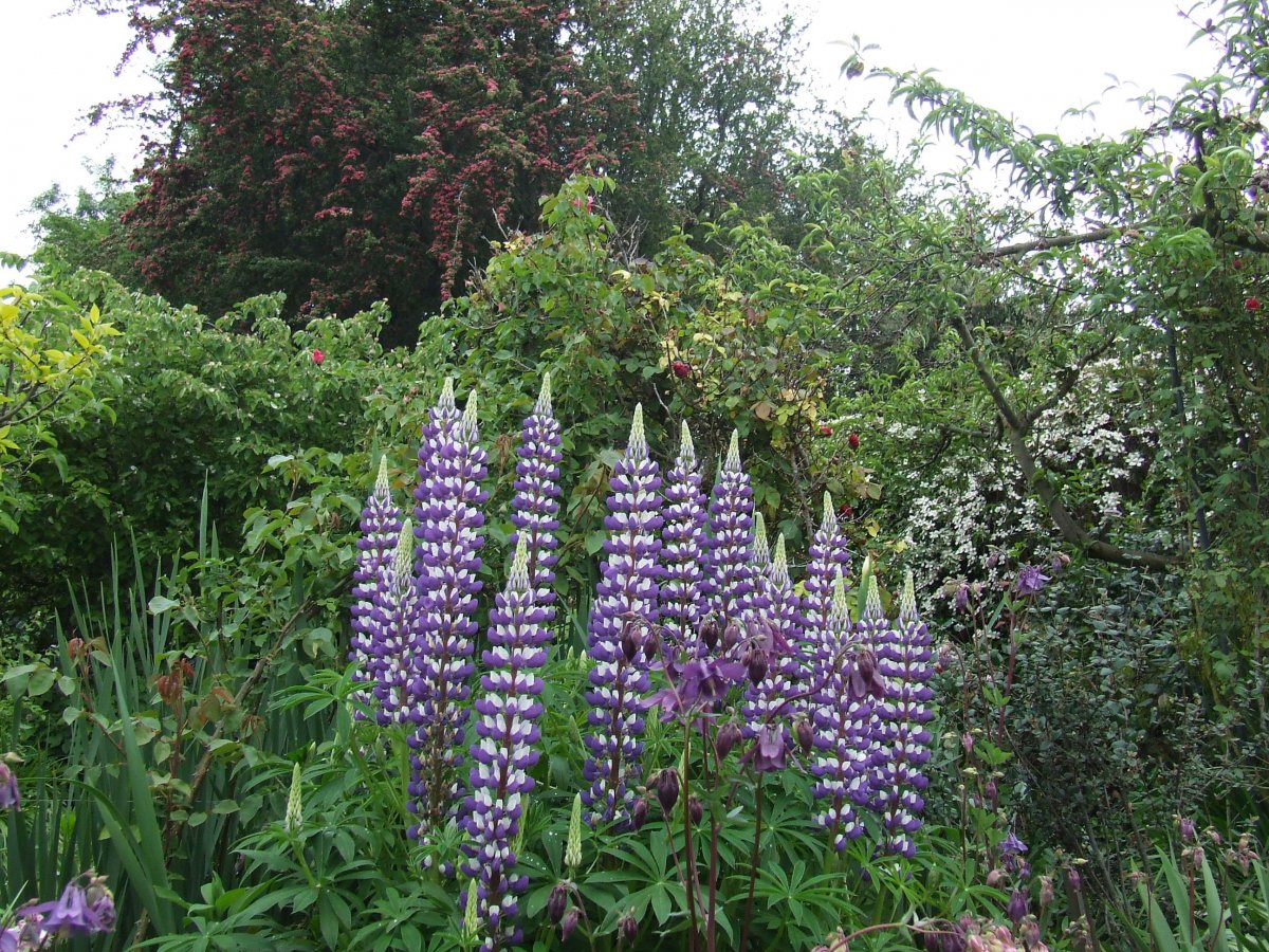 DSCF3849.jpg