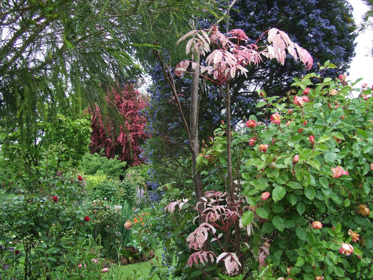 DSCF3890.jpg