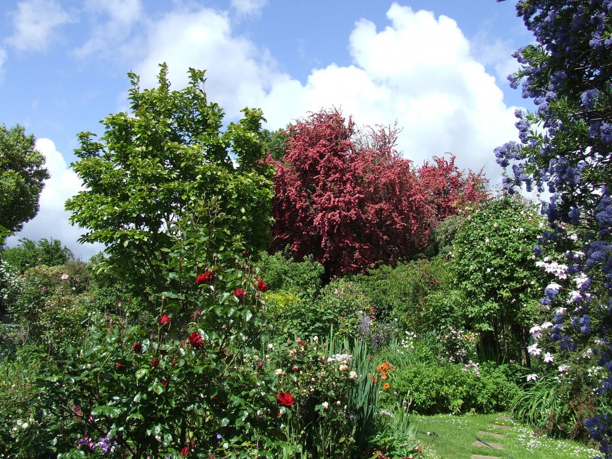 DSCF3913.jpg