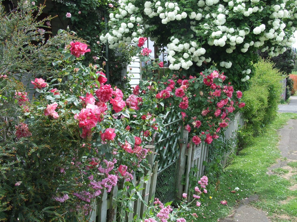 DSCF3919.jpg
