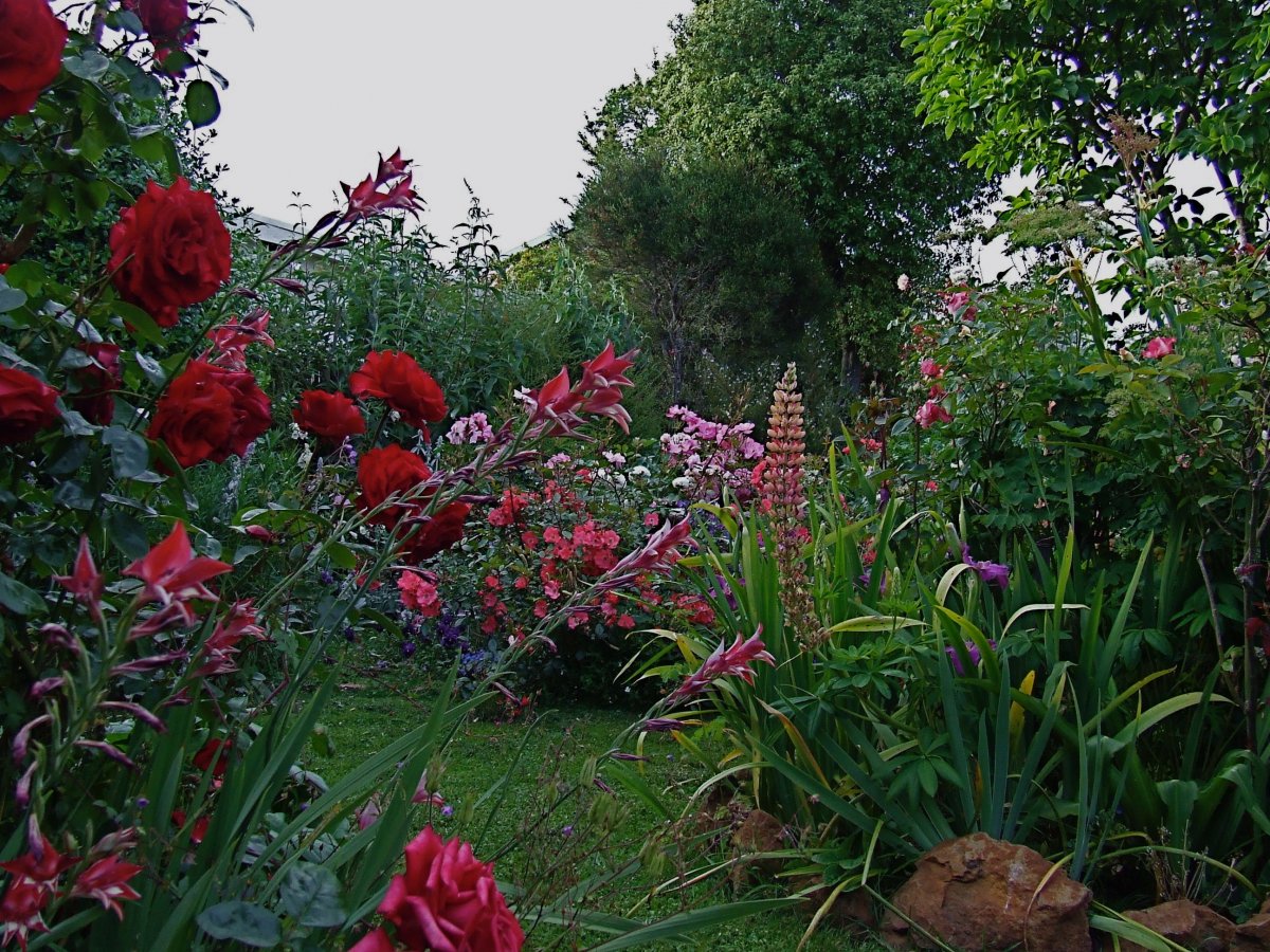DSCF4067.jpg