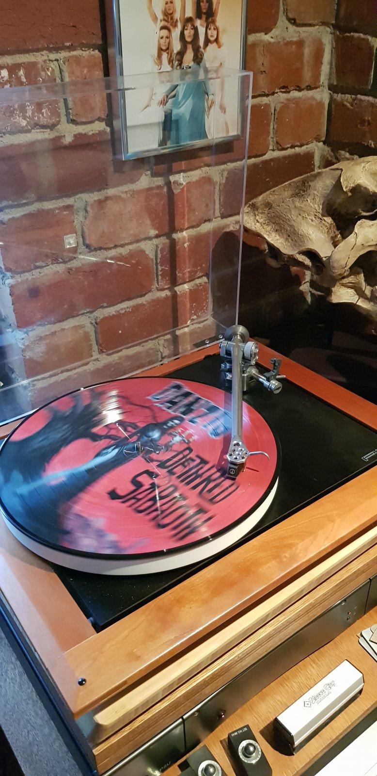 Why can't they make great sounding Picture Discs? ﻿ Vinyl and Turntables