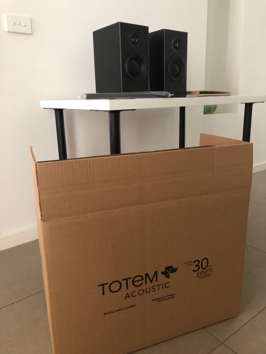 SOLD FS Totem Sky bookshelf speakers in black ﻿ Stereo, Home Cinema, Headphones Components