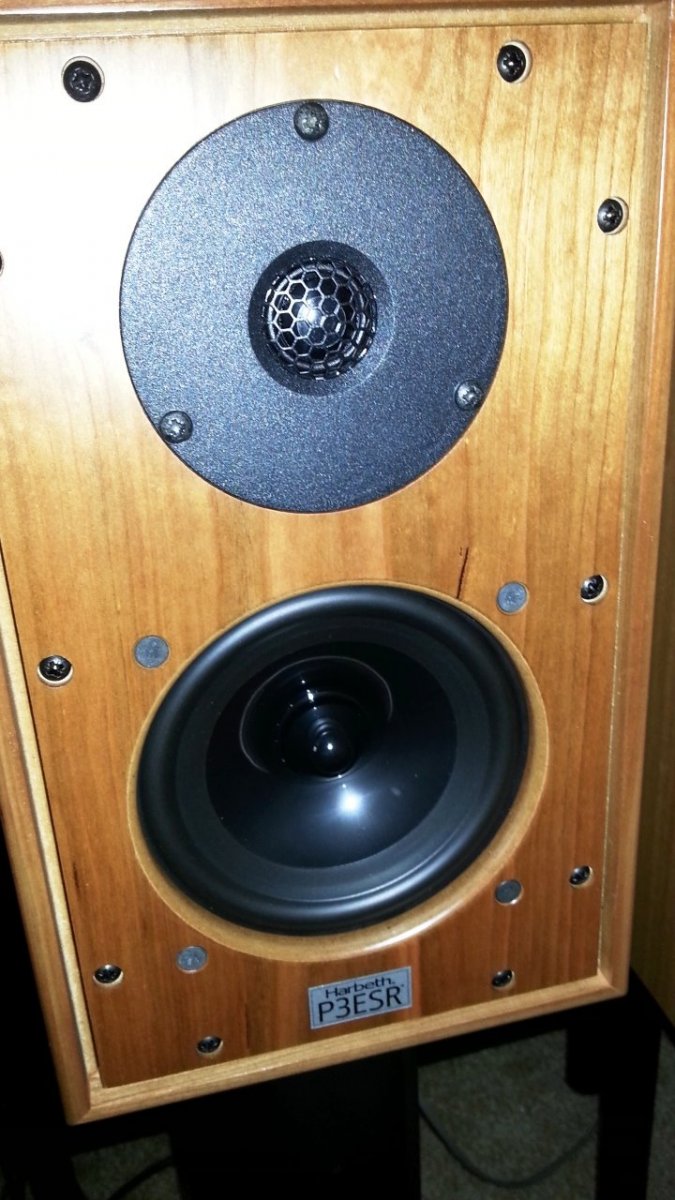 P3 five.jpg