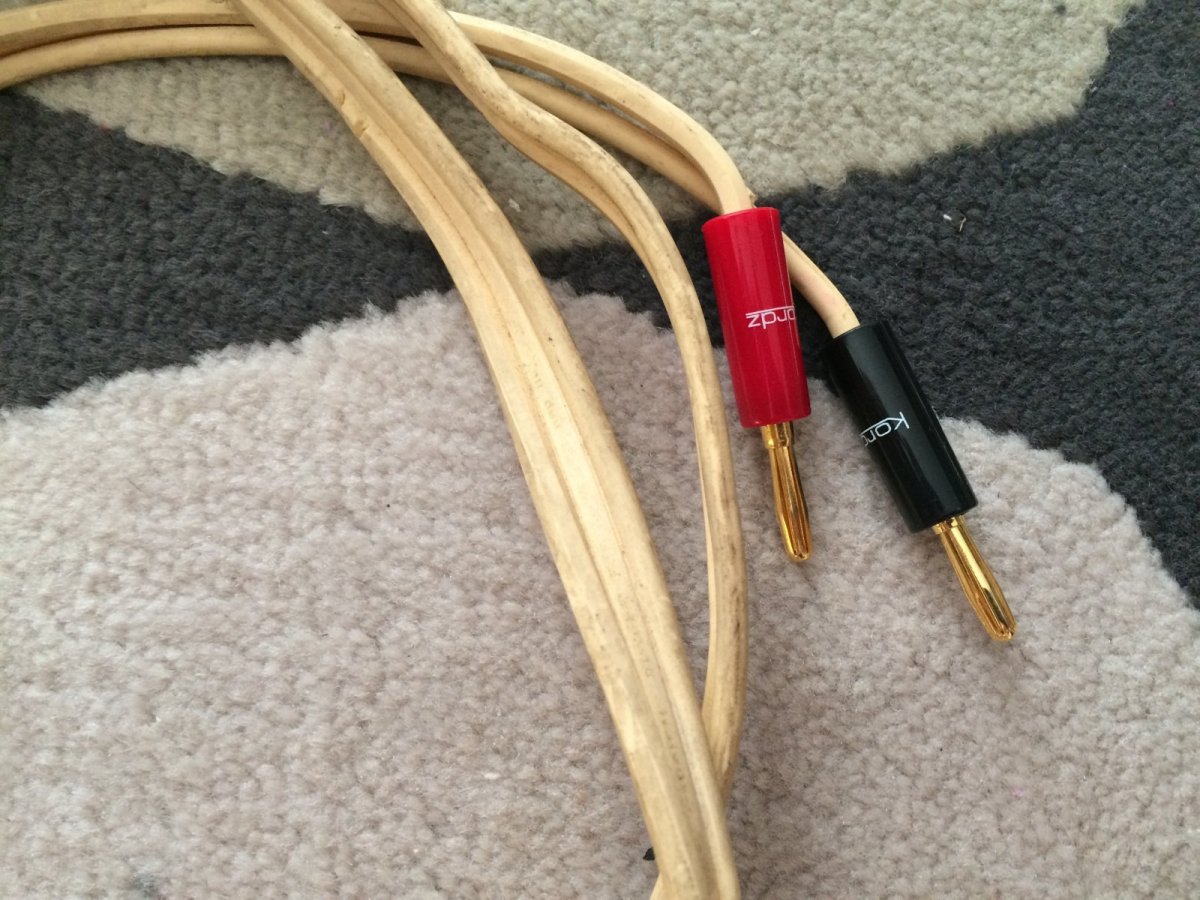 BPlugs.JPG