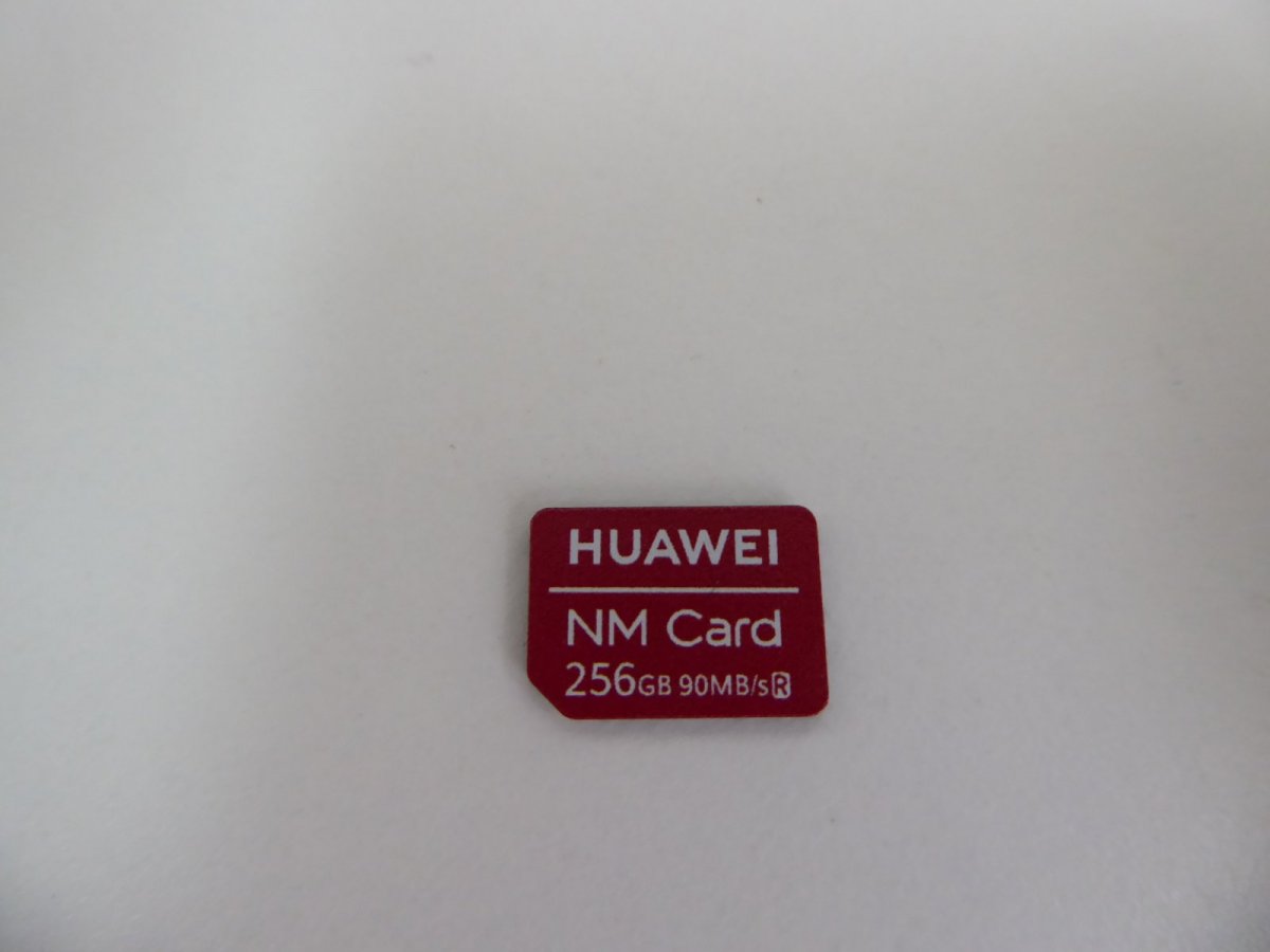 P1000625.JPG
