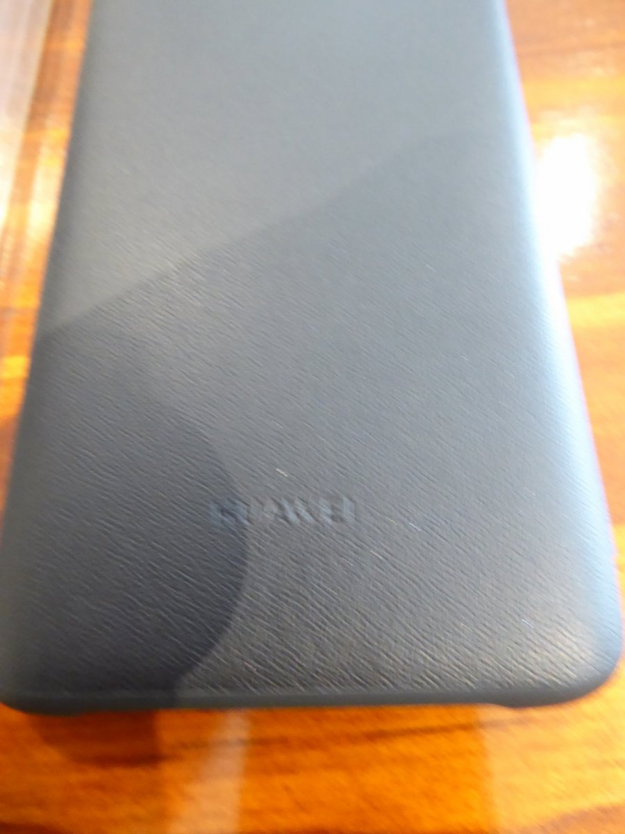 P1000630.JPG