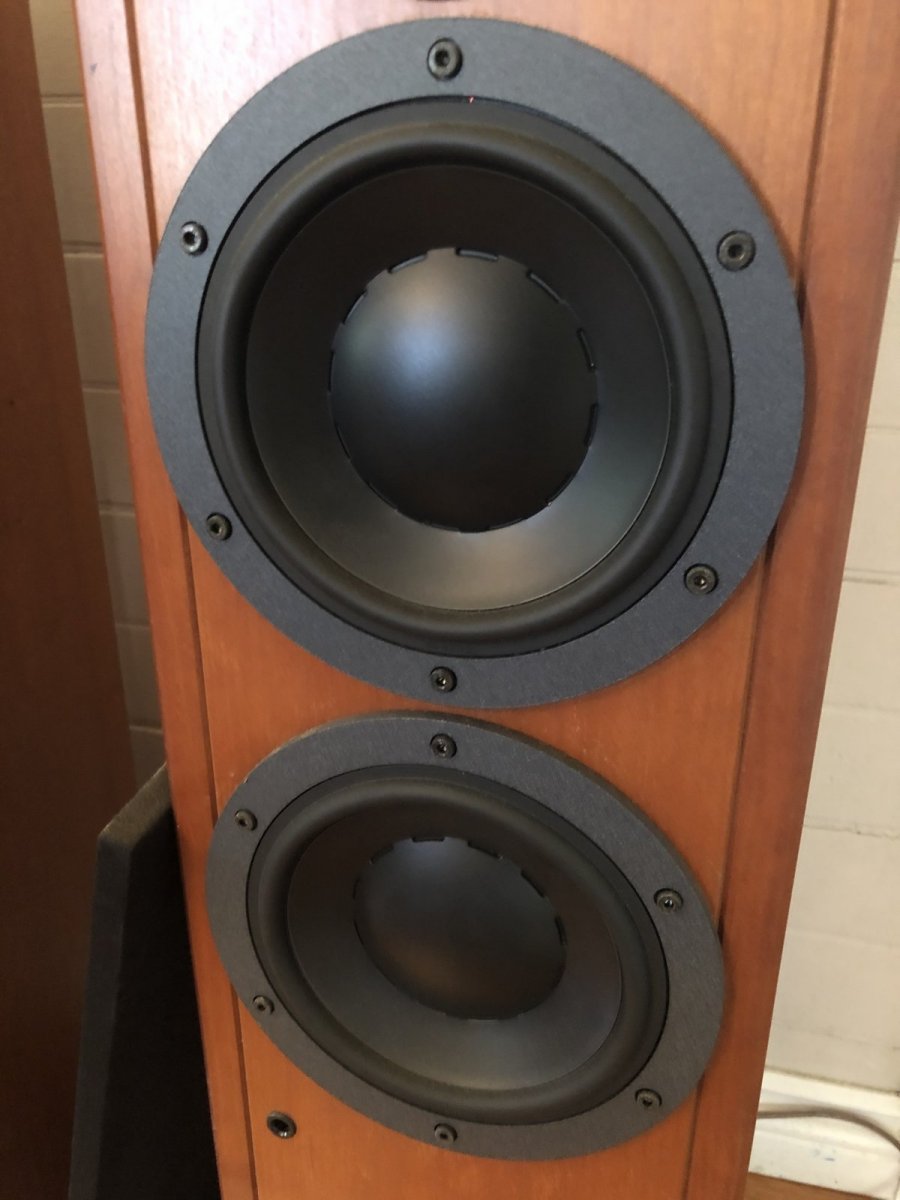 dynaudio contourシリーズ　エンブレム dynaudio contourシリーズ エンブレム Dynaudio Speaker Grill