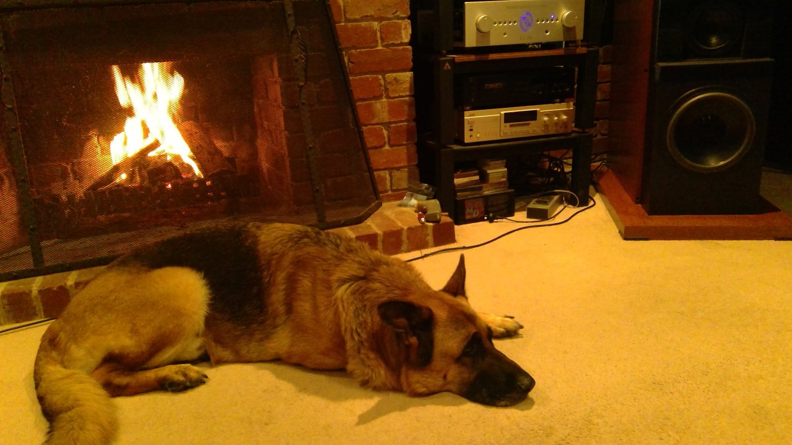 Hifi pets! Show us ya...