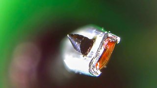 Black Diamond nude elliptical - Turntables, Record Players & Vinyl