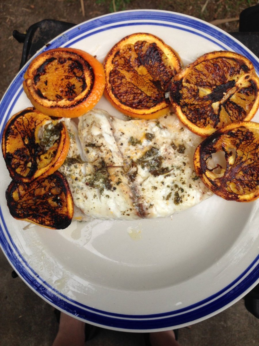 IMG_1466 barramundi.JPG