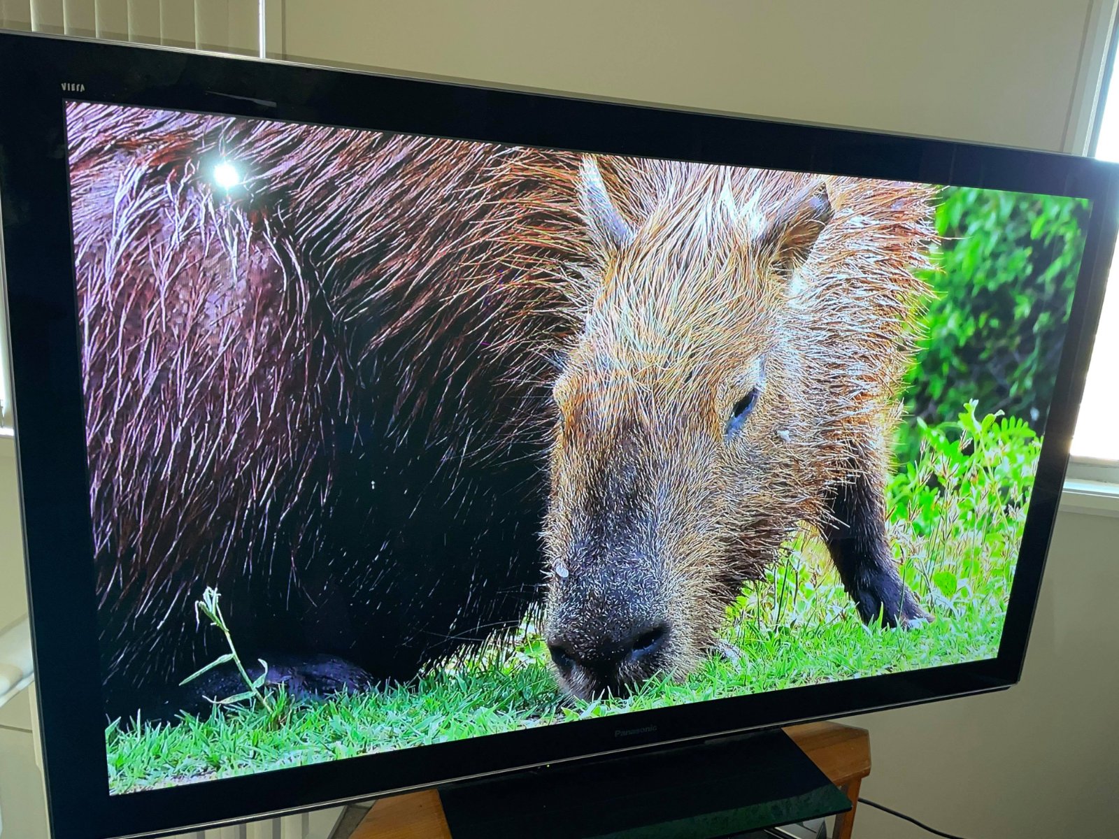 Panasonic 65" Plasma TV VIERA THP65VT30A ﻿ Stereo, Home Cinema, Headphones Components