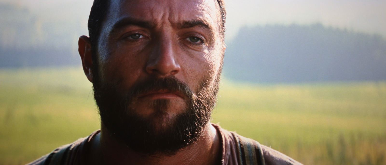 Inglourious Basterds BD ﻿ Movies Box Office, Bluray Releases etc.