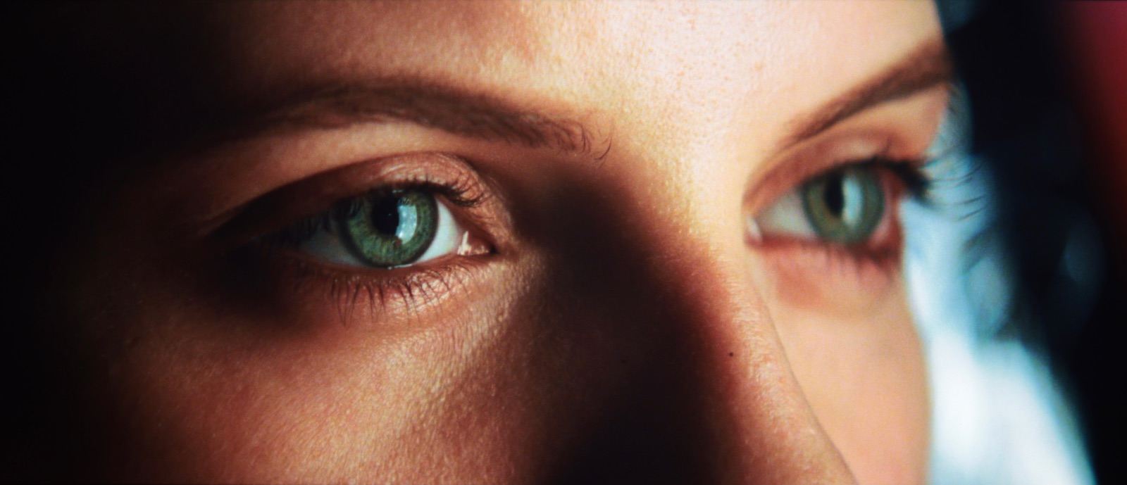 Inglourious Basterds BD ﻿ Movies Box Office, Bluray Releases etc.