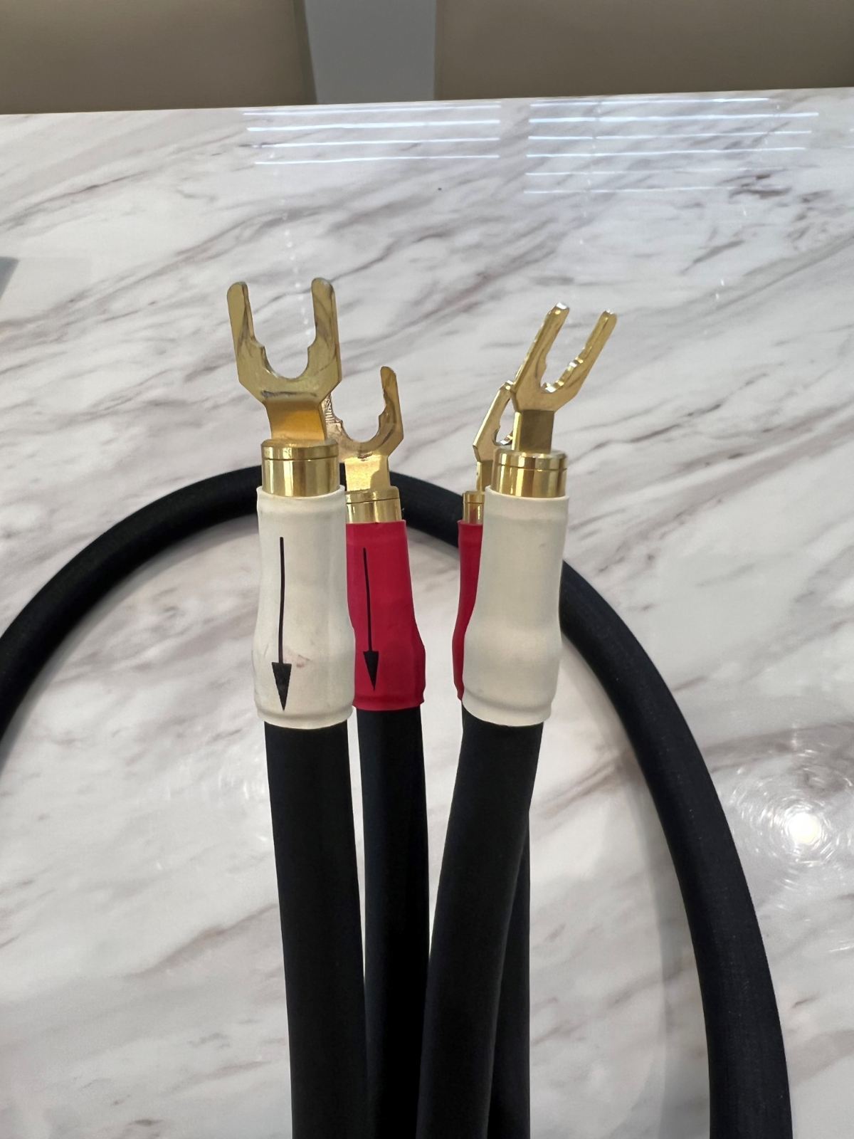 FS Shunyata Research ZiTron Anaconda Speaker Cable 2m Gold Spades