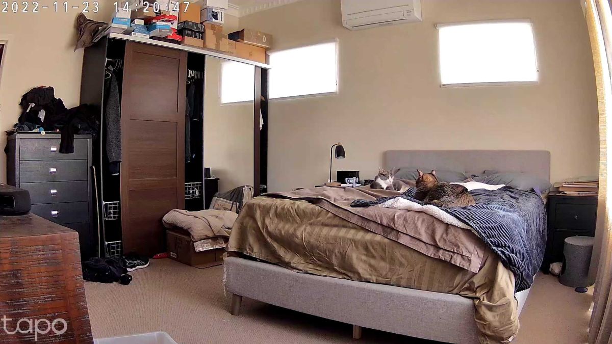 My Camera 6 2022-11-23 02.20.47 PM.jpg