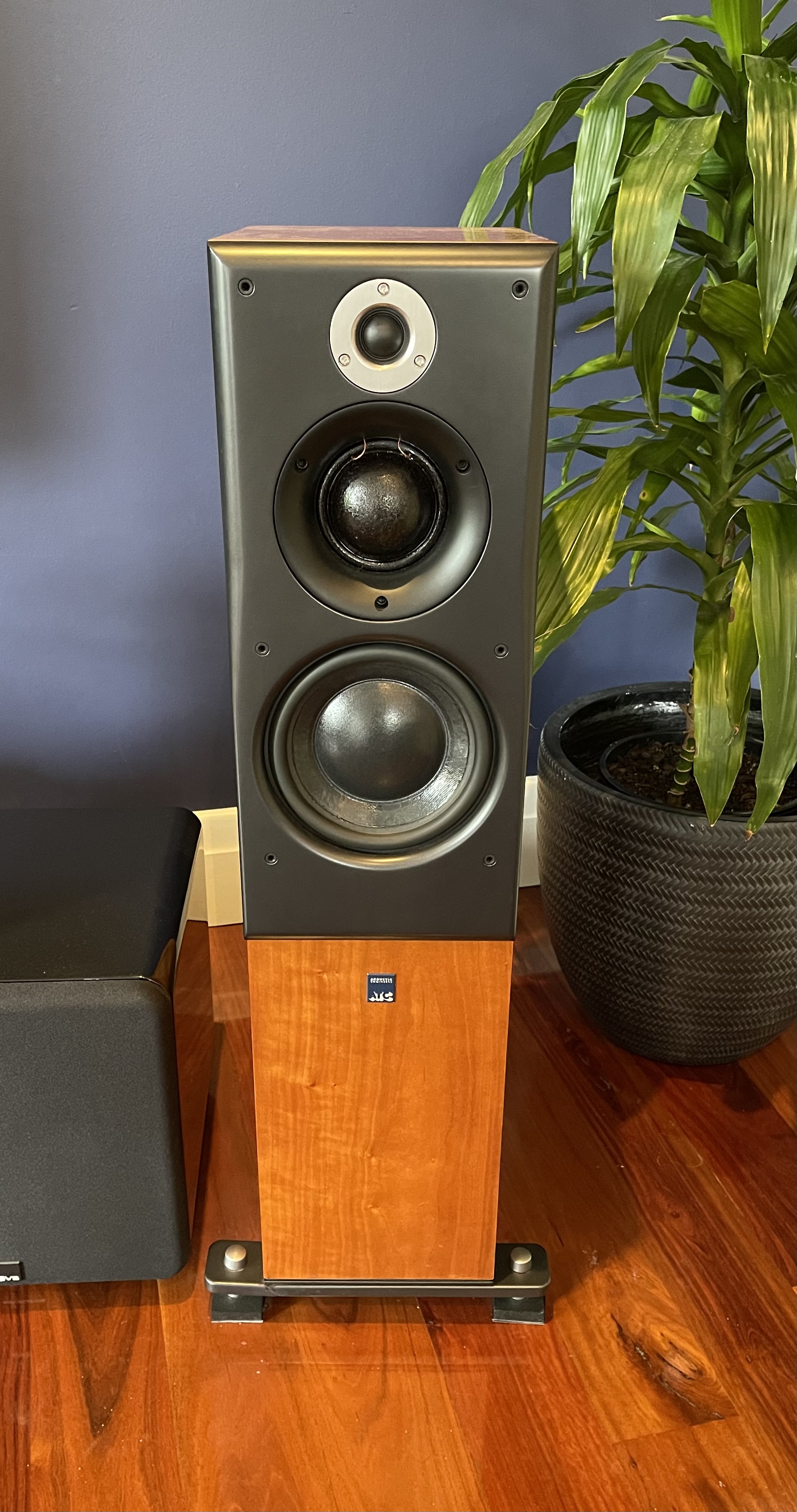 ATC scm40 passive speakers ﻿ Stereo, Home Cinema, Headphones Components