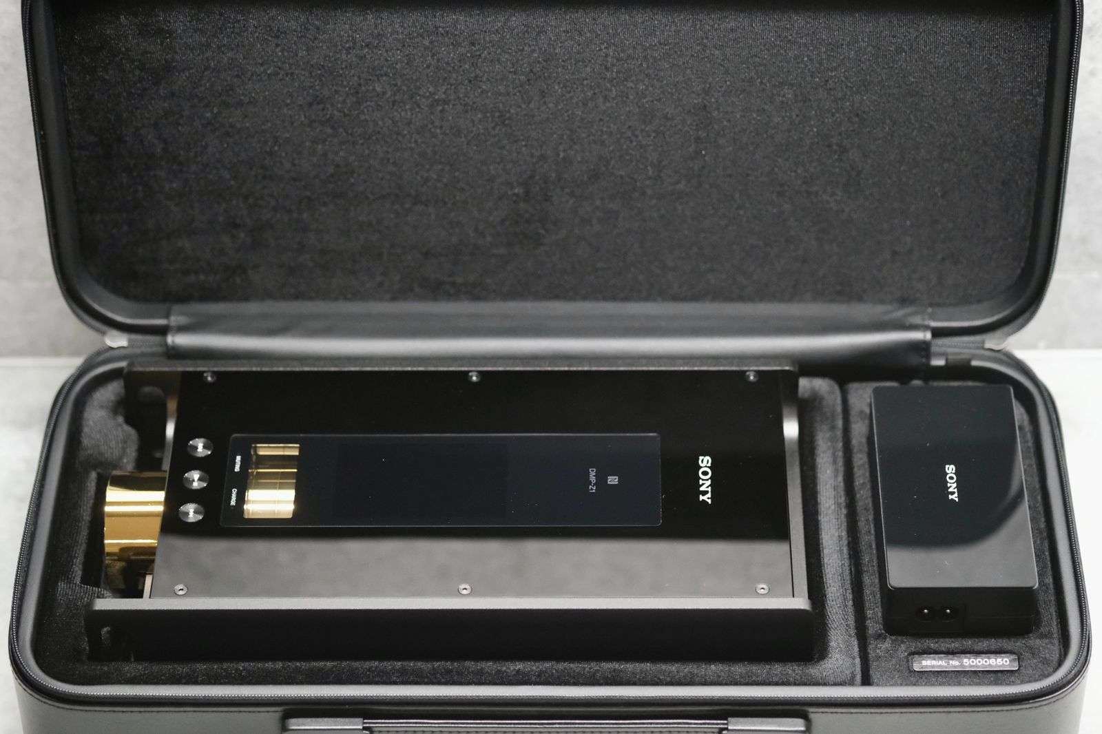 Sony DMPZ1 + Van Nuys carry case ﻿ Stereo, Home Cinema, Headphones