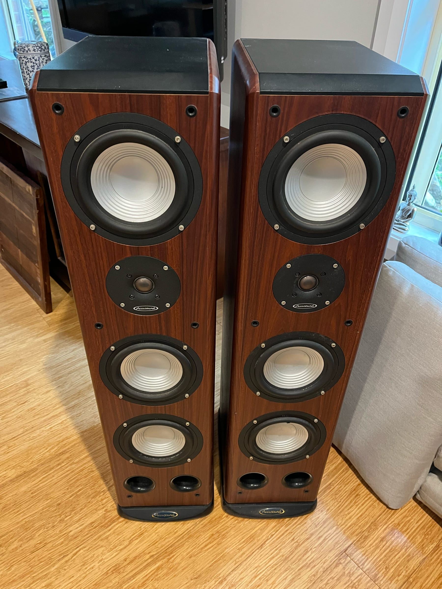 TAKEN Accusound floorstanding speakers DL695 ﻿ Pay it Forward
