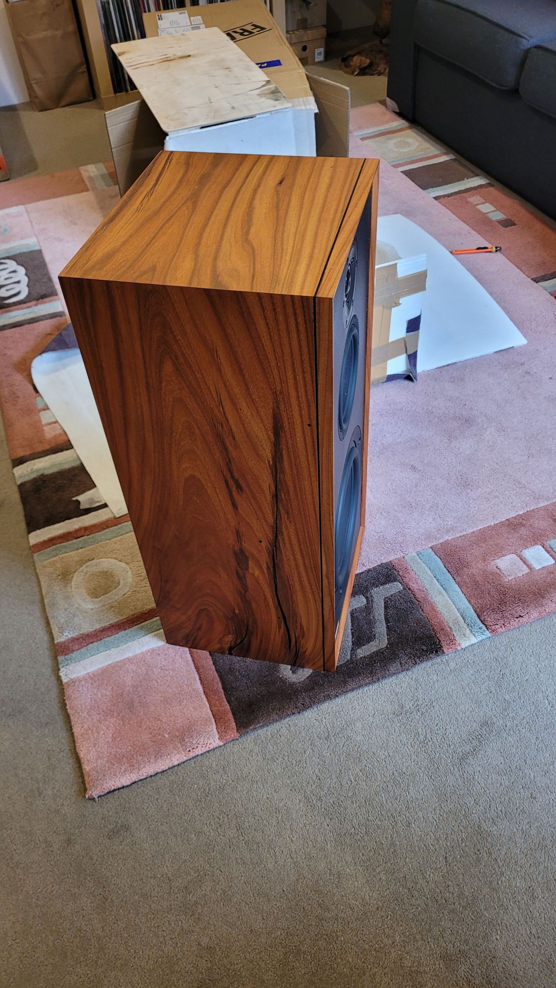 EOI Kingfisher Audio Dacelo ( Blackwood veneer)