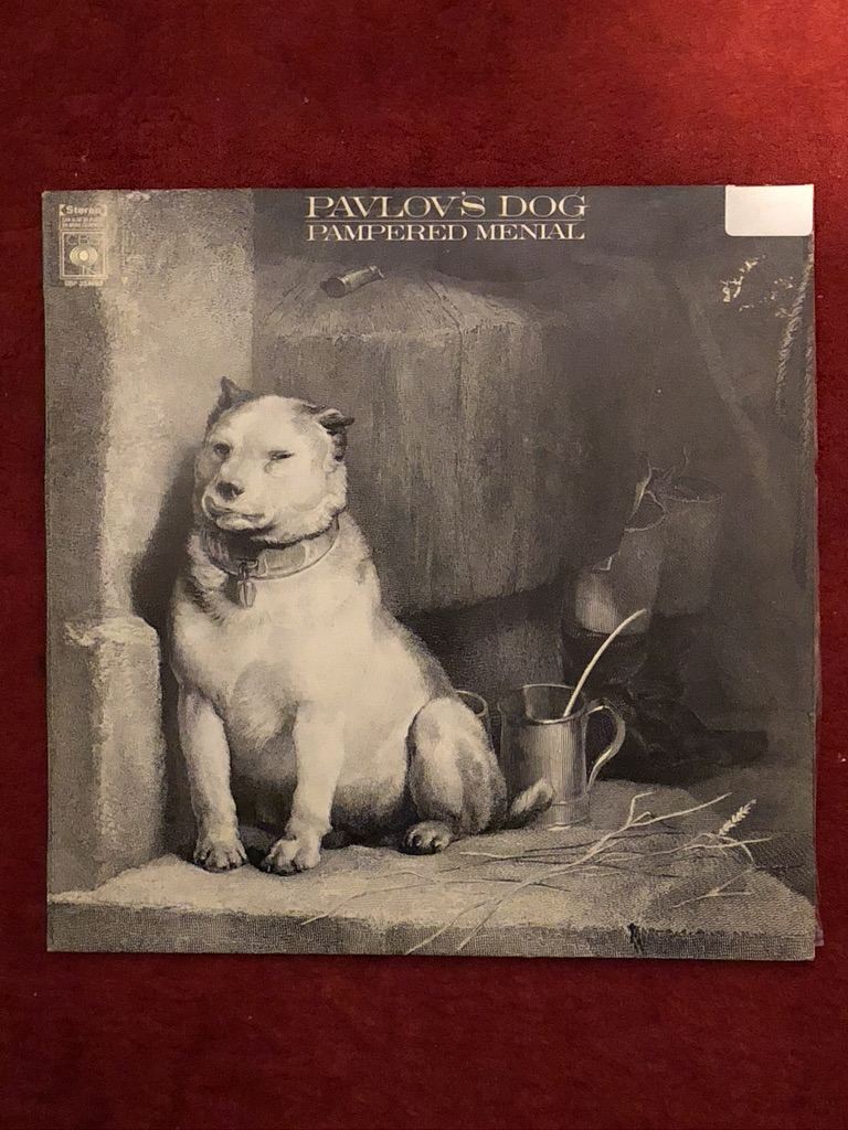 Pavlov's Dog by Pampered Menial
