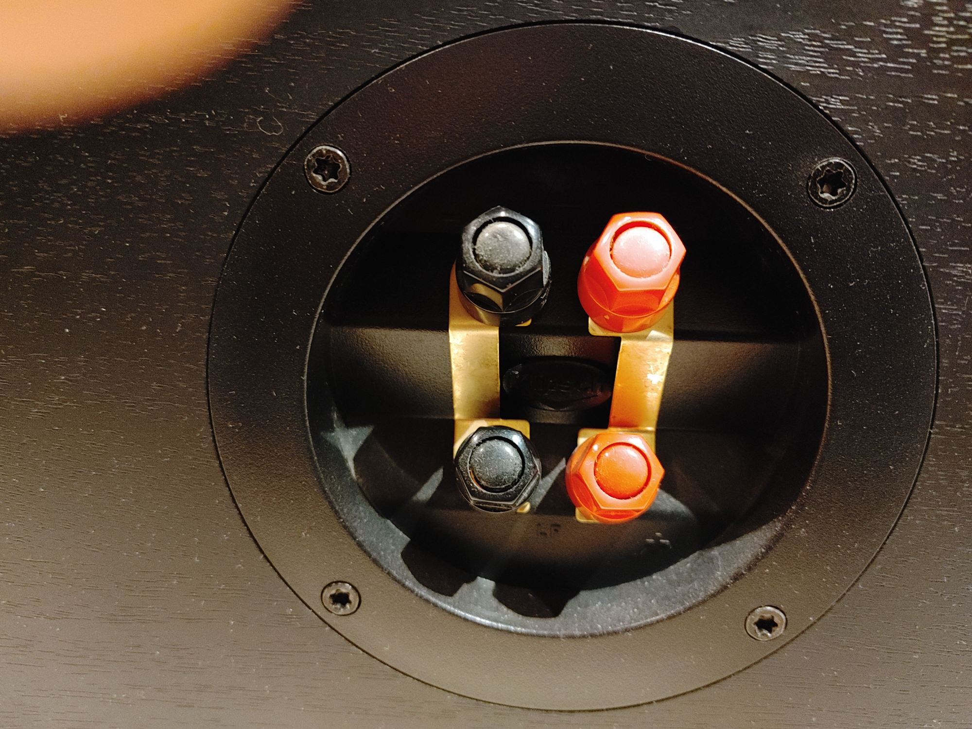 RC35 Dual Binding Posts.jpg