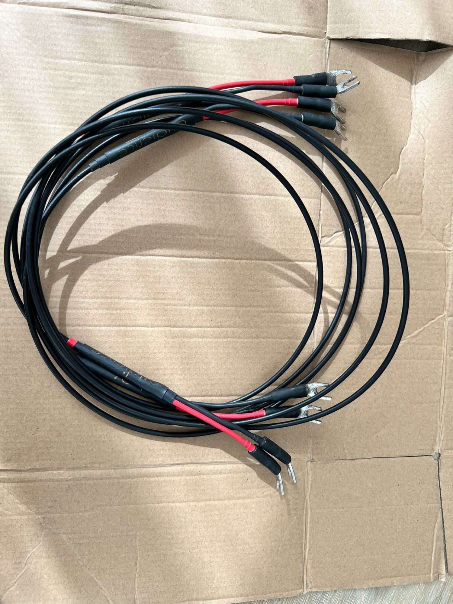 WhatsApp Image 2023-02-21 at 09.34.21 (2).jpeg