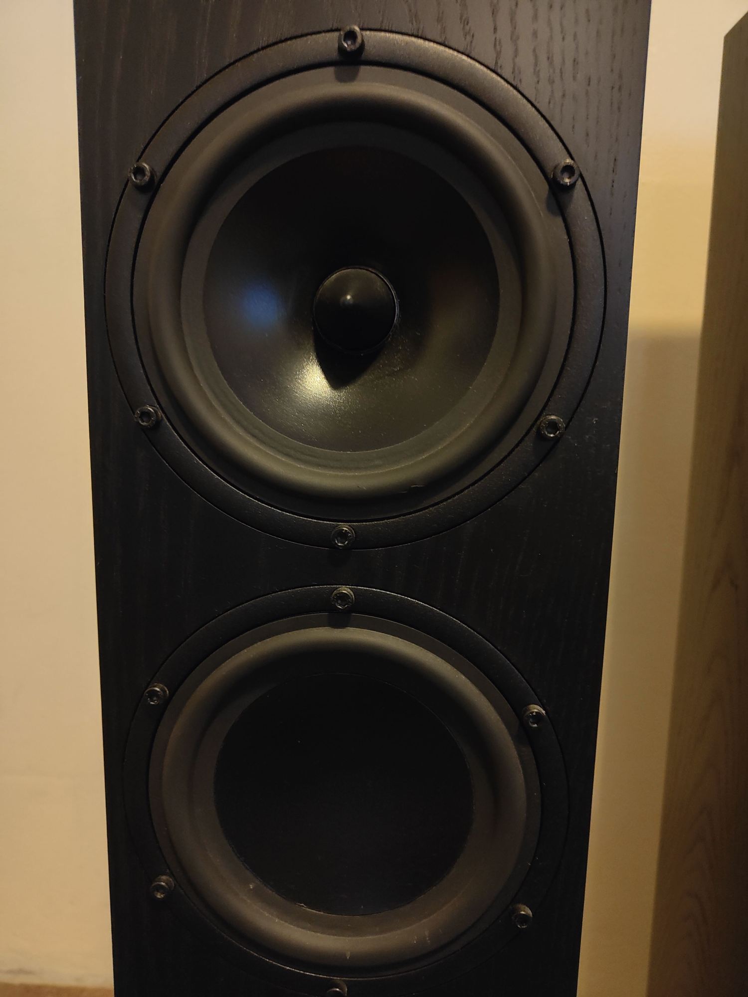 Spendor Mid and Bass.jpg